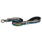 Cycle Dog Eagle Sunrise 6" Dog Leash - Poudre Pet and Feed Supply